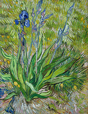New exhibit in Philadelphia looks at van Gogh close up