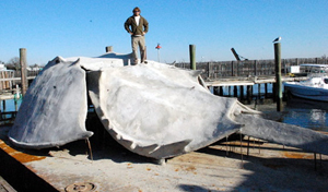 Concrete horseshoe crab sculpture to be NJ&#8217;s new reef