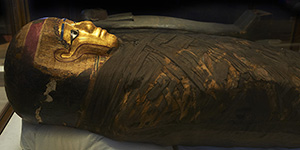 Field Museum scientists open Egyptian mummy coffin