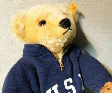 Online auction devoted to teddy bears, Steiff collectibles Feb. 20