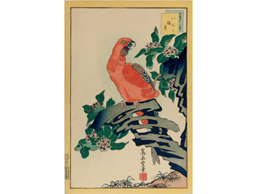 Santa Barbara museum to exhibit antique Japanese prints