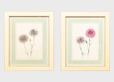 Go green with antique botanical illustrations