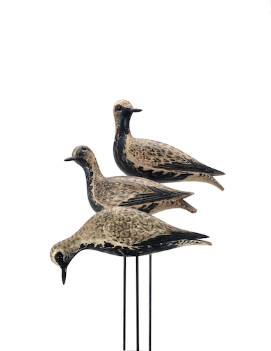 Crowell plover trio could fly away with $1.5M at Copley July 9-10 sale