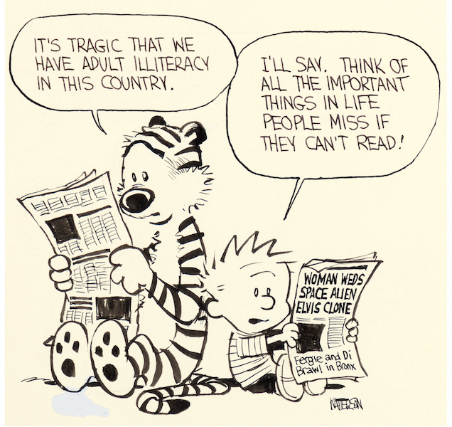 Calvin and Hobbes original comic strip art sells for record $480K